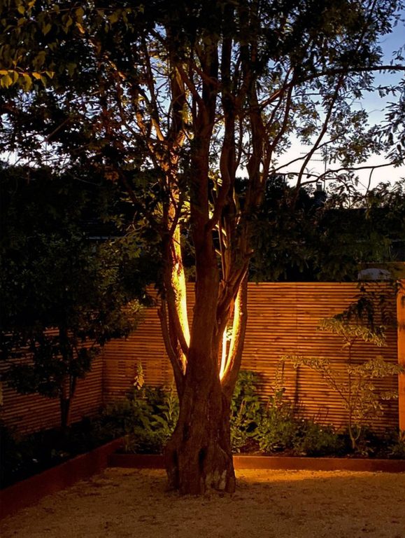 Uplit tree and garden feature lighting at night